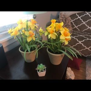 3 Artificial Office Plants